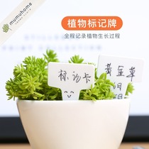 Yunnan straight hair succulents label T word label card thickened gardening plug-in waterproof label marker pen
