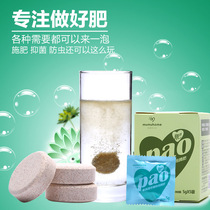 Yunnan straight hair MMH succulents effervescent fertilizer Slow-release fertilizer to prevent leggy deworming sterilization rooting universal