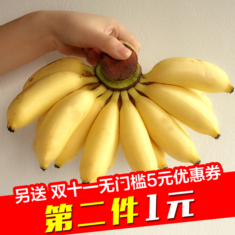 新鲜水果香蕉banana 海南三亚特产皇帝蕉 帝王蕉非小米蕉3斤包邮_5折