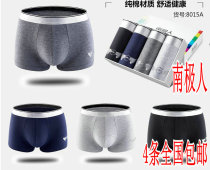4 National Antarctic Man Mens all-cotton Leica elastic cotton printed flat angle flat-footed underpants