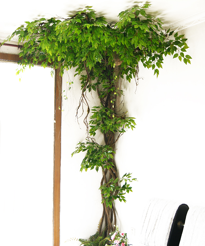 树藤枯藤藤条装饰树枝干仿真绿叶藤蔓假植物绿植挂壁室内造景婚庆
