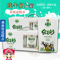 Shibu pure milk 250ml*12 boxes*2 boxes Guangxi student nutrition milk adult breakfast milk gift for children