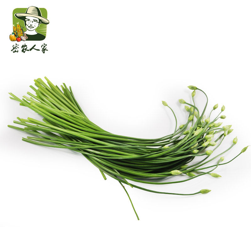 密农人家 新鲜韭苔 韭菜杆 农家种植 新鲜蔬菜 水嫩味汆 300g