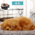 Trang trí xe puppy dog ​​xe sáng tạo trang sức trang trí trung tâm giao diện điều khiển nguồn cung cấp trang trí trang trí xe nguồn cung cấp xe Ô tô nội thất Accesseries