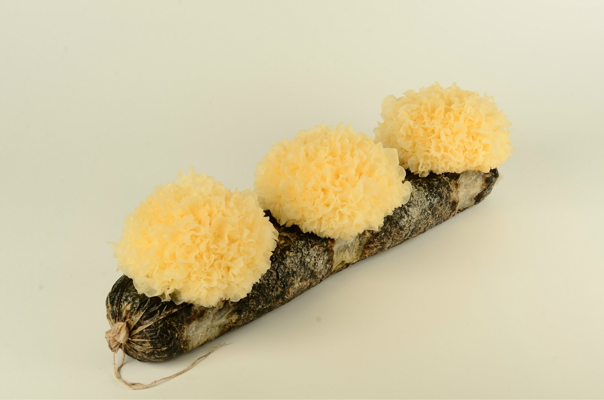 这种银耳有毒!而且没有解药!