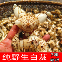 Shaanxi wild Baiji traditional Chinese medicine Baiji Chinese herbal medicine Baiji tablets Baiji powder Baiji wild 250 grams sulfur-free