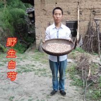 Wild white peony root 500g White peony root Chinese herbal medicine White peony root tablets Herbal non-hang white peony root licorice soup