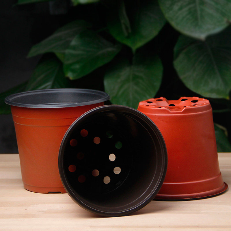 塑料花盆双色盆软塑料育苗盆营养钵营养杯绿植花卉盆栽简易盆10个