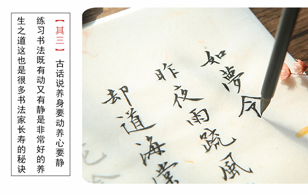 行楷宋词临摹毛笔字帖小楷花草宣纸李清照词女生练习书法入门描红