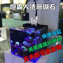 Tansen seawater tank explosion-free algae rapid tank culture landscape stone Artificial living stone Sea tank Coral dead stone P stone