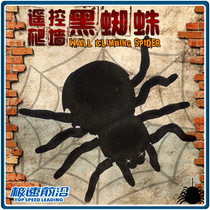Simulation wall climbing Spider toy land climbing wall dual mode charging remote control black widow tricky boy birthday gift