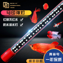 Ma Yin magic lamp dragon fish lamp special aquarium lamp three-base color color enhancement lamp aquatic lamp fish tank lamp LED lamp waterproof