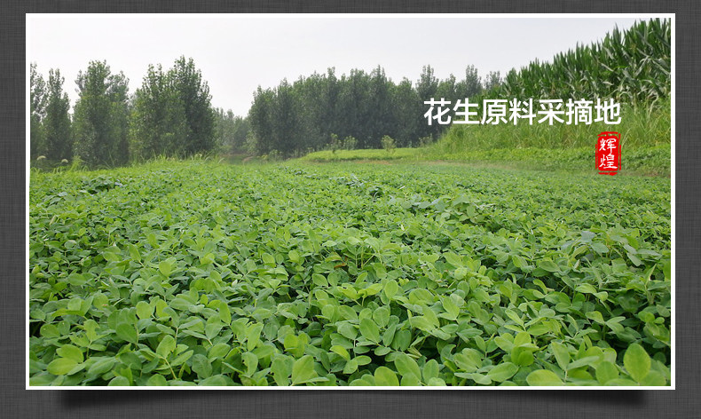 辉煌花生酥糖散装520g四川特产成都美食小吃