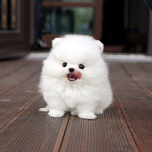 但有你不知道的真相!