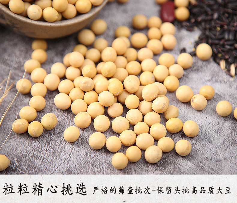 北纬49东北有机非转基因黄豆400g