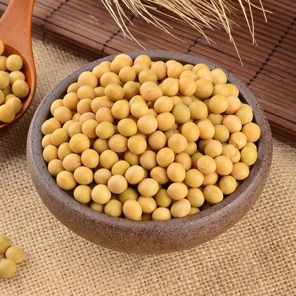 陕西特产农家自种老黄豆非转基因大黄豆散装真空包装900g包邮