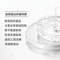 Deer Bone Collagen Genetic Engineering Fermented Single Cell Protein To Save Rotten Face