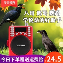 Eight brother speaking trainer teaching bird learning reproducer learning machine speech cockrot parrot theory