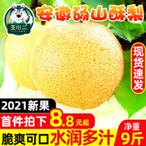 Anhui Dangshan crisp pear Fresh 10kg green pear should Season fruit Crown yellow skin big sweet pear whole box