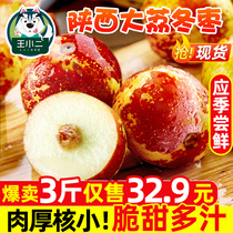 Shaanxi Dali winter jujube fresh 5kg sweet crisp green jujube specialty seasonal pregnant woman fruit fresh jujube special jujube