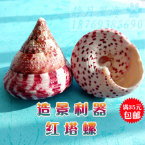 Natural conch shell red tower snail fish tank landscape aquarium decoration Mediterranean style creative fortune ornaments
