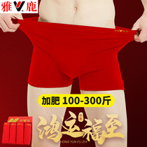 Yalu red plus size underwear mens flat corner plus fat increase pure cotton this year four-corner pants fat guy Tiger year this calendar