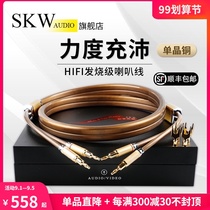 SKW fever horn wire monocrystalline copper hifi banana head Y plug in soundbox wire pure copper amplifier sound Cable cable cable