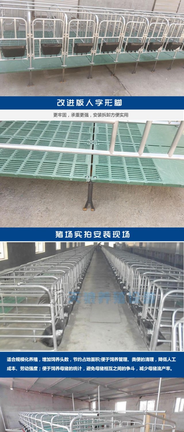 母猪定位栏限位栏 可养10头猪带钢板食槽 猪栏猪圈