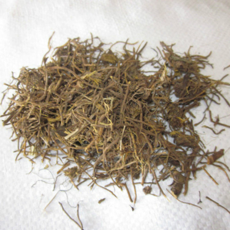 中药材 野生金丝草 笔仔草 黄毛草 笔子草 猫尾草 兔丝草 500克