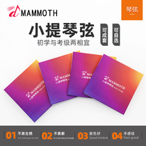 Mammoth Violin Strings String Set String Set String set 4 1 2 3 4 strings Beginner Beginner Replacement strings