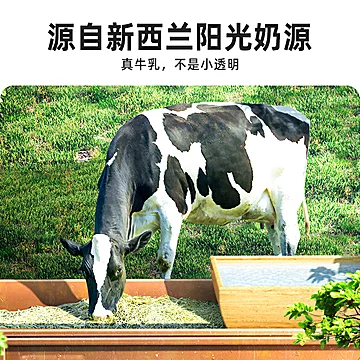 【500*4瓶】宜简乳酸菌发酵饮料气泡苏打水[14元优惠券]-寻折猪