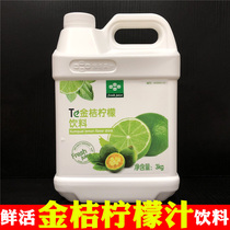 Fresh kumquat lemon juice 3kg concentrated flavor beverage thick pulp Punch Drink Kumquat lemon juice concentrate