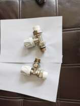 Ordinary copper PPR valve