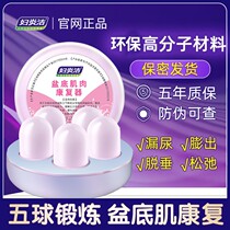 Pelvic Floor Muscle Rehabilitation Instrument Postpartum Leakage Urine Constriction Vaginal Dumbbells Private Tightening Kegel Trainer