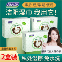 (Swap for purchase) Maternity and cleaning Damp Towel private Bacteriostatic House Matter Care Women Special Wet Tissues