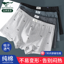 Seven wolf underwear boys pure cotton four corner shorts summer thin mens underwear All-cotton flat pants pants