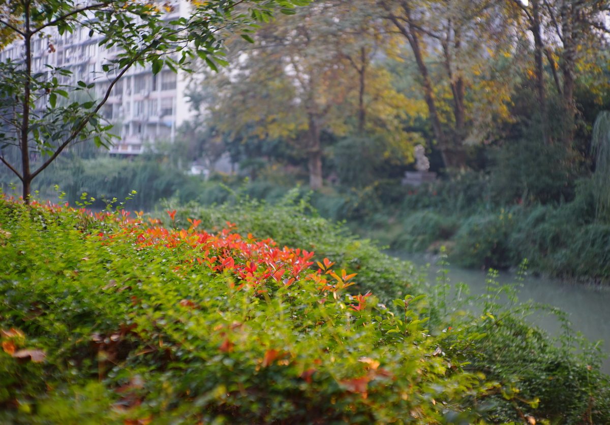 大光圈镜头拍风光,也可以拍得很写意.