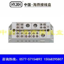 Haiyan FJ6 JHD-2TN single-phase two-meter home junction box self-lifting metering box junction box