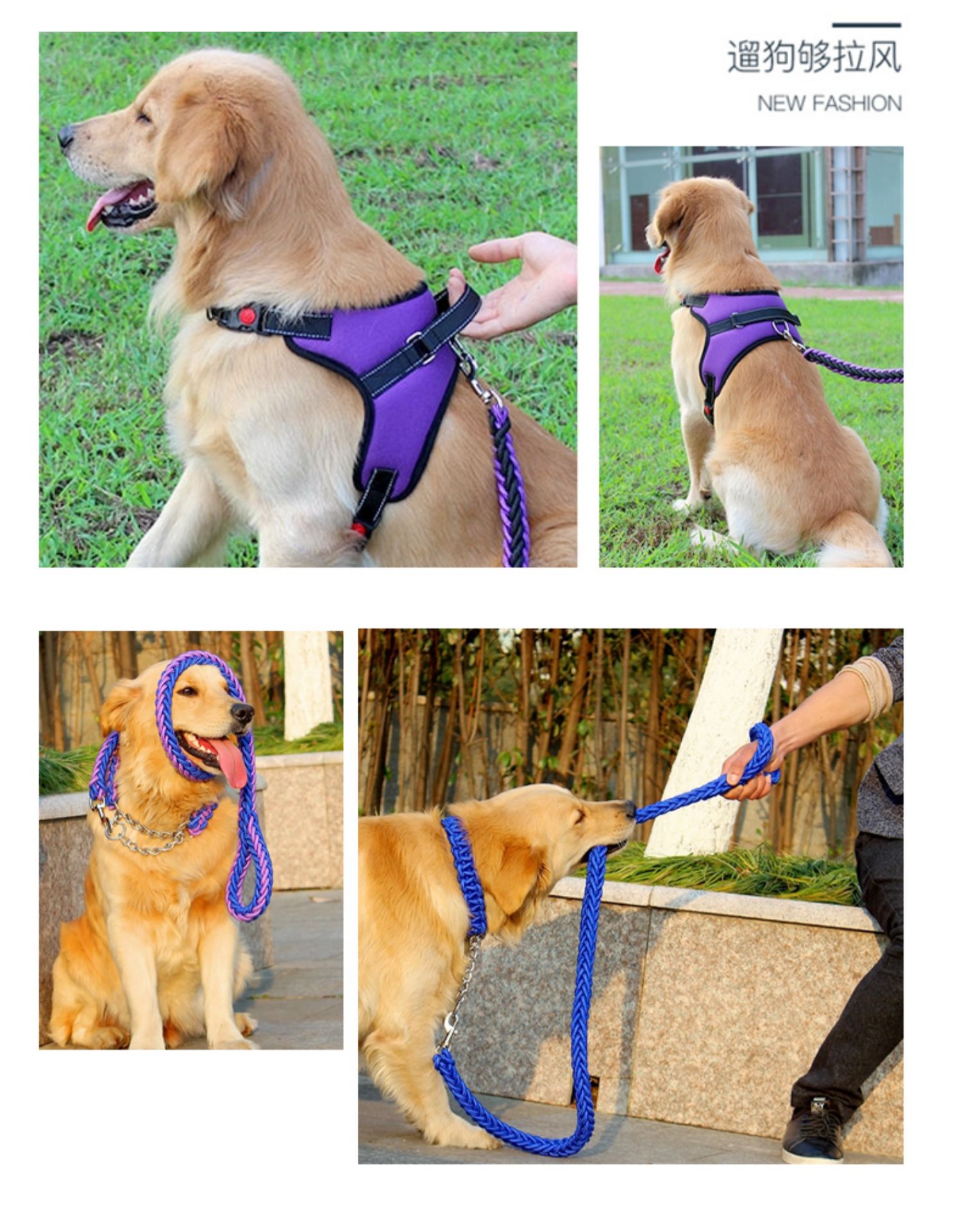 狗链子中大型犬金毛遛狗狗牵引绳小型犬柯基狗绳子背心式背带项圈