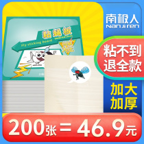 Antarctic People Sticky Fly Paper Fly Stickler Powerful Sticky Fly Plate Killer FLY Fly Mosquito Killer for Fly Mosquito Killer