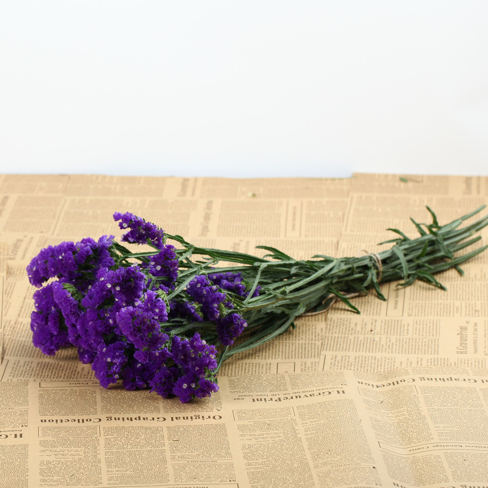 勿忘我干花花束云南天然满天星干花真花艺术客厅装饰花情人草包邮