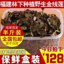 Fresh Anoectochilus fresh fresh under the forest imitation wild planting Anoectochilus fresh Nanjing Anoectochilus Lotus Zhangzhou Anoectochilus Lotus