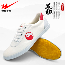 Double Star Tai Chi Shoes Cow Trunk Canvas Sneakers Mens and Womens Style Shoes Taijiquan Womens Wushu Morning Shoes Soft Sole