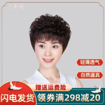 Wig female short hair middle-aged and elderly short curly hair temperament real hair silk full headgear style puffy curly hair wig