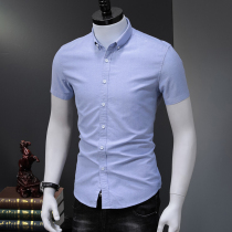 Light luxury new mens Oxford spinning short-sleeved shirt mens solid color youth slim inch clothing Korean version of casual trend shirt