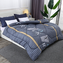 Quilt winter quilt Core Four Seasons universal thick warm student dormitory single cotton quilt spring and autumn quilt is too air-conditioned thin