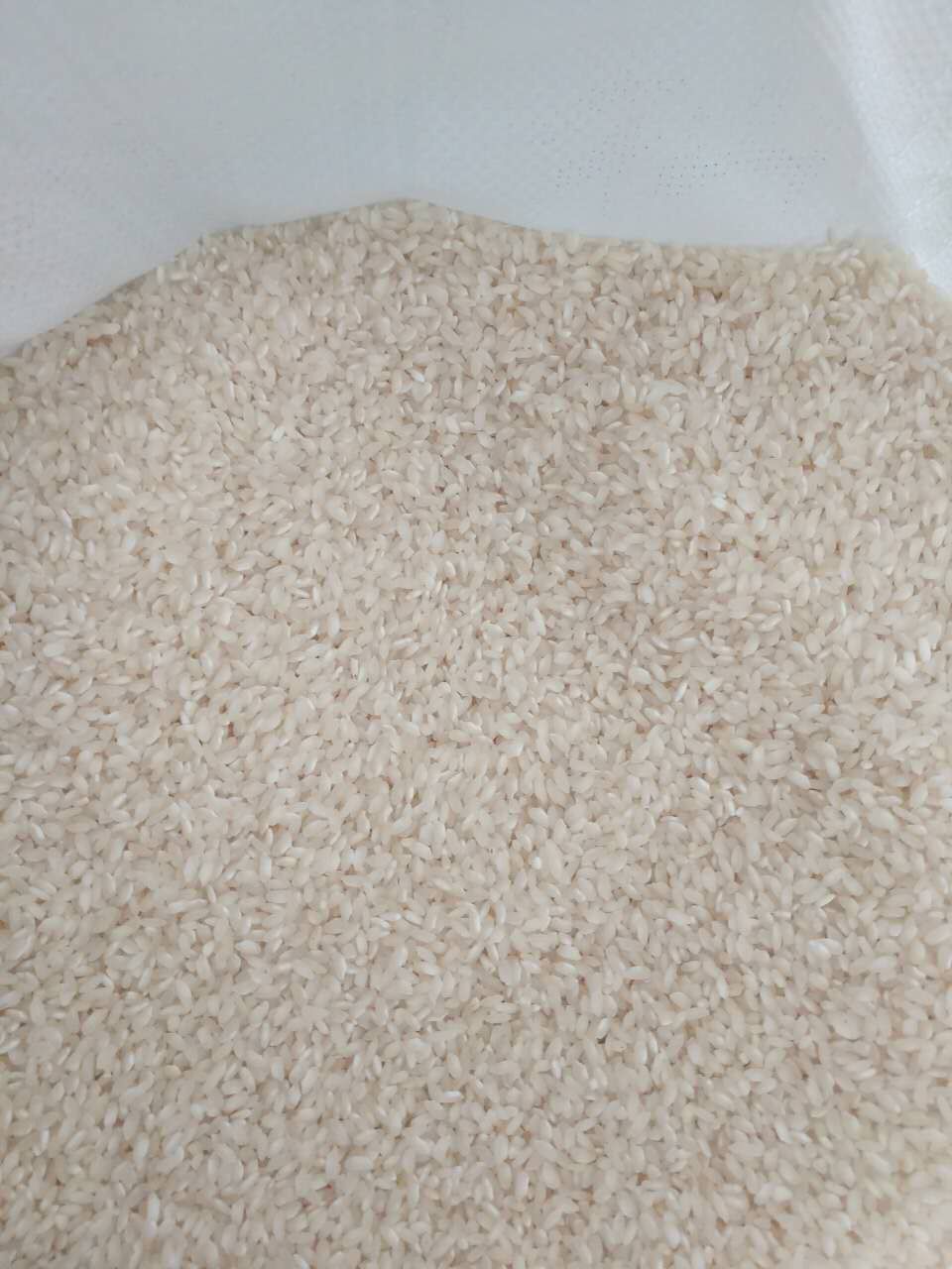 农家自种安徽早籼米早稻米线肠粉低糖无粘性宝宝老人熬粥大米包邮