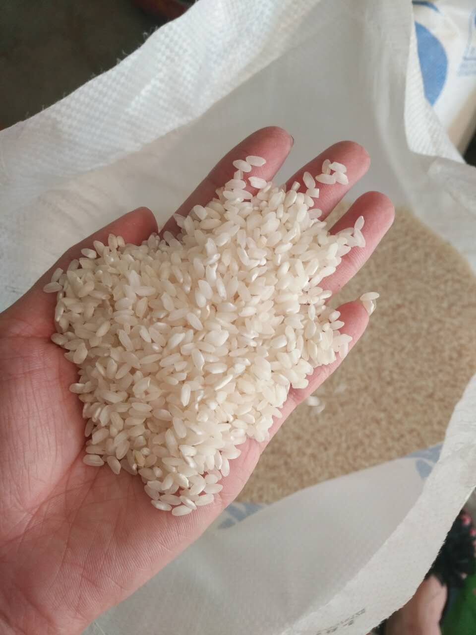 农家自种安徽早籼米早稻米线肠粉低糖无粘性宝宝老人熬粥大米包邮