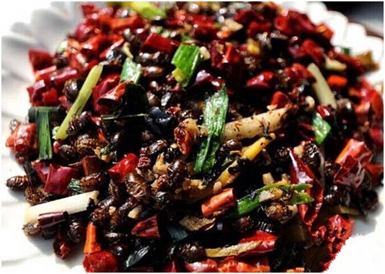 贵州"臭肴"美食,打开了吃货的新天地 - 天猫精选