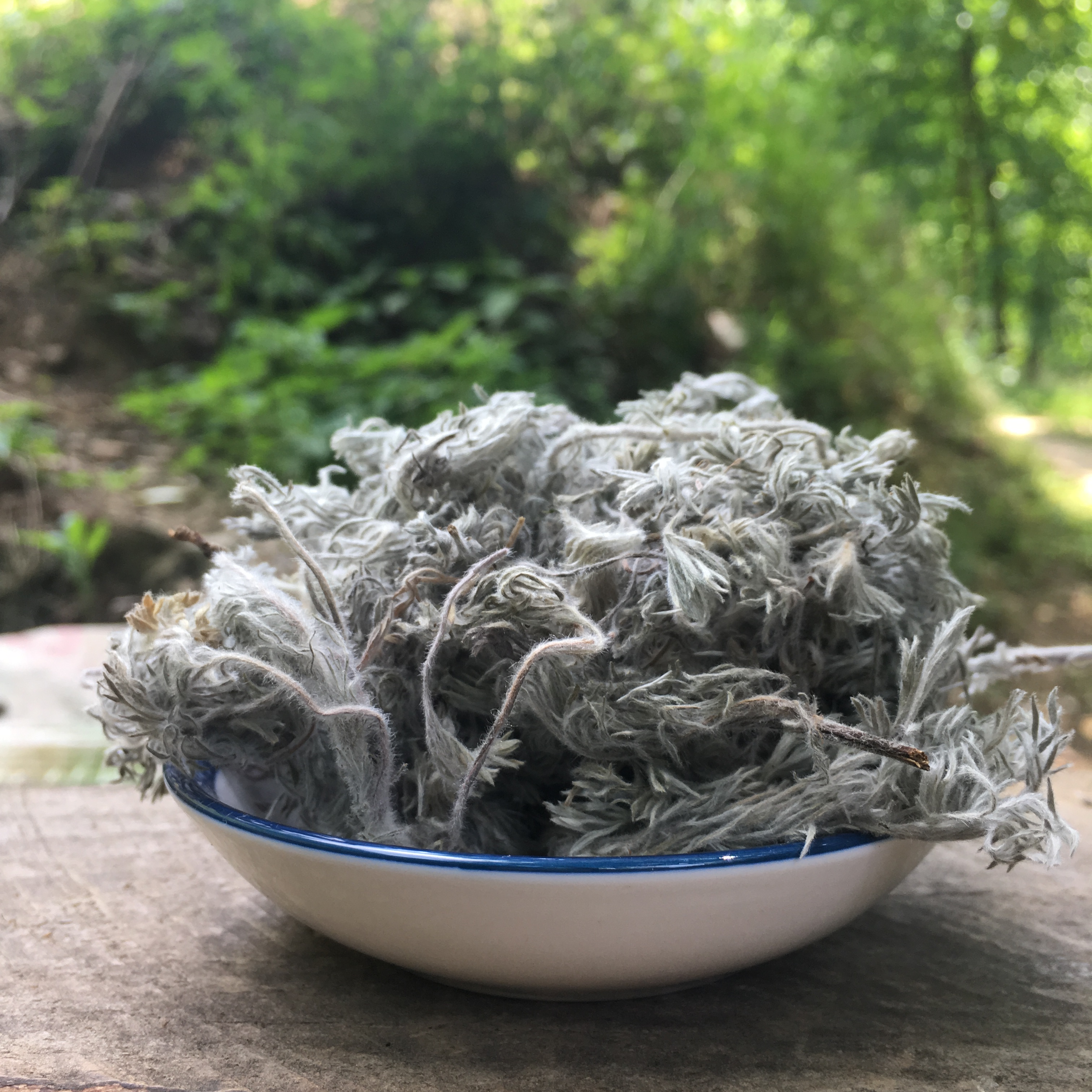 茵陈为较常用中药《神农本草经》列为上品 别名:绵茵陈,茵陈蒿.